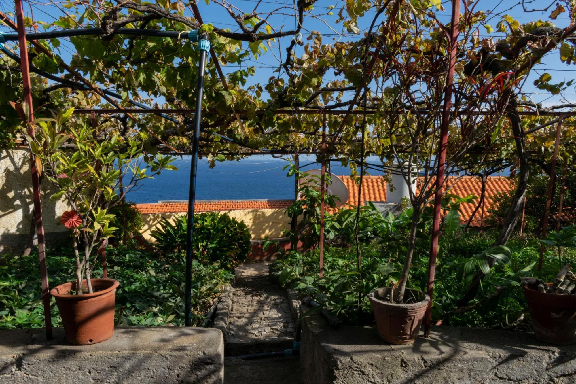 Casa Do Boto Villa Santa Cruz  Eksteriør bilde
